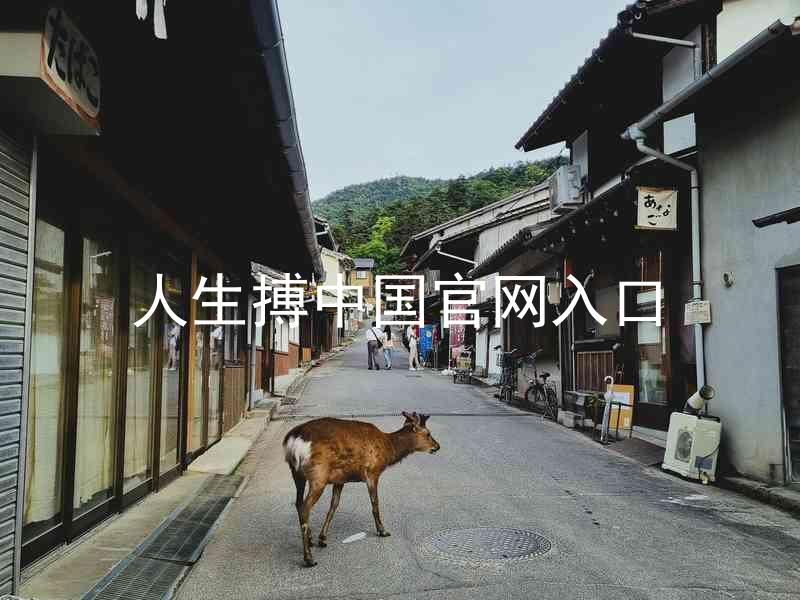 人生搏中国官网入口